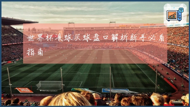 世界杯滚球买球盘口解析新手必看指南