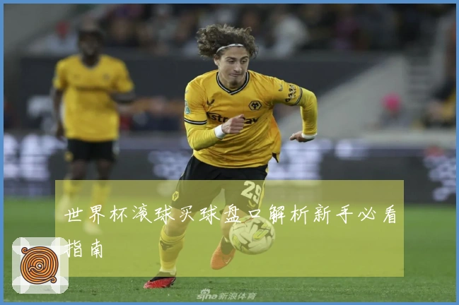 世界杯滚球买球盘口解析新手必看指南
