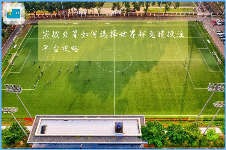 实战分享如何选择世界杯竞猜投注平台攻略