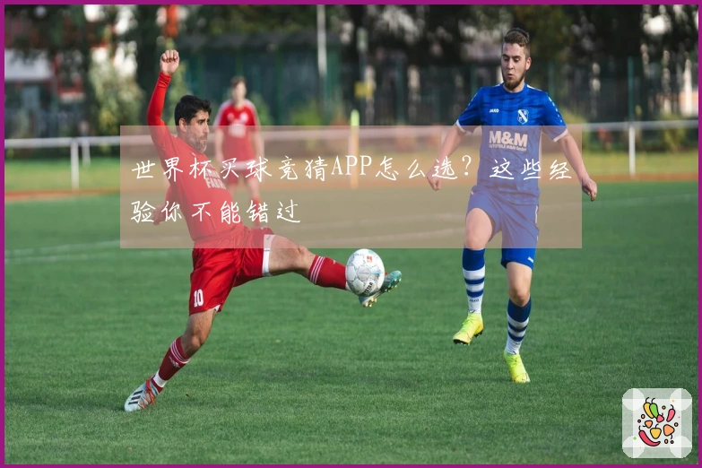 世界杯买球竞猜APP怎么选？这些经验你不能错过