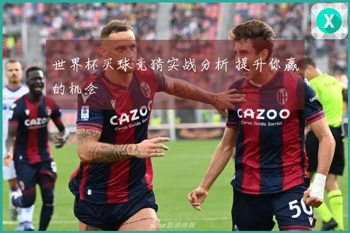 世界杯买球竞猜实战分析 提升你赢的机会