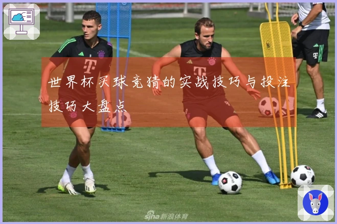 世界杯买球竞猜的实战技巧与投注技巧大盘点