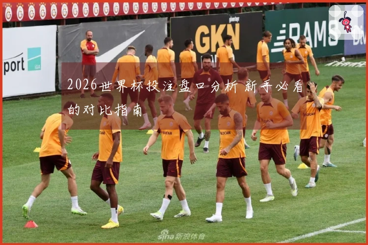 2026世界杯投注盘口分析 新手必看的对比指南