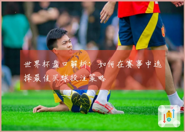 世界杯盘口解析：如何在赛事中选择最佳买球投注策略