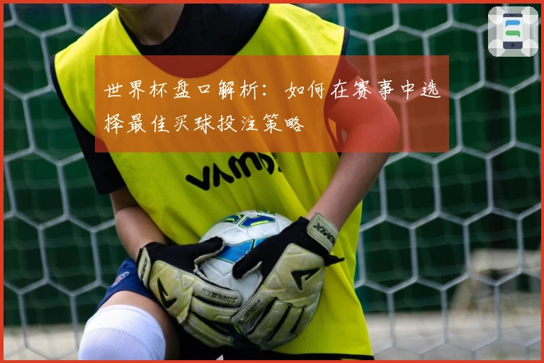 世界杯盘口解析：如何在赛事中选择最佳买球投注策略