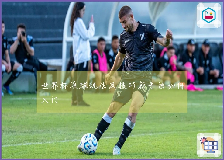 世界杯滚球玩法及技巧新手该如何入门