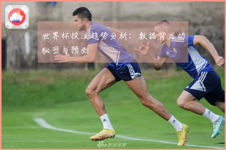 世界杯投注趋势分析:数据背后的秘密与预测