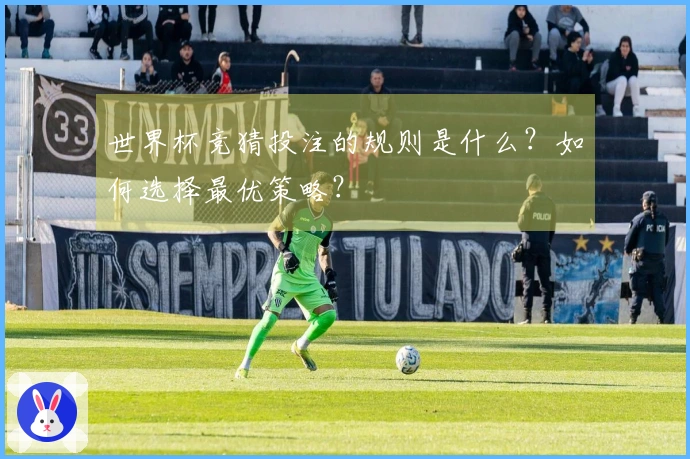 世界杯竞猜投注的规则是什么？如何选择最优策略？