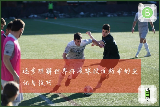 逐步理解世界杯滚球投注赔率的变化与技巧
