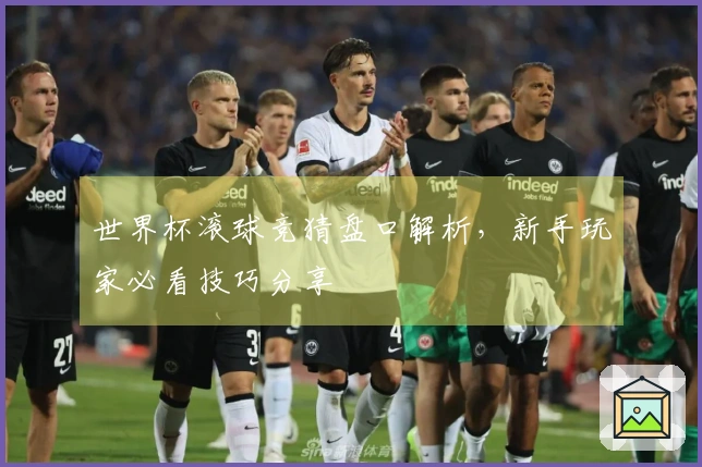 世界杯滚球竞猜盘口解析，新手玩家必看技巧分享