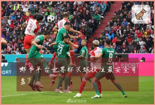 哪个平台世界杯买球投注最安全可靠？
